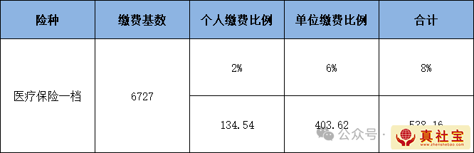2026年深圳一檔醫(yī)保繳費標(biāo)準(zhǔn)